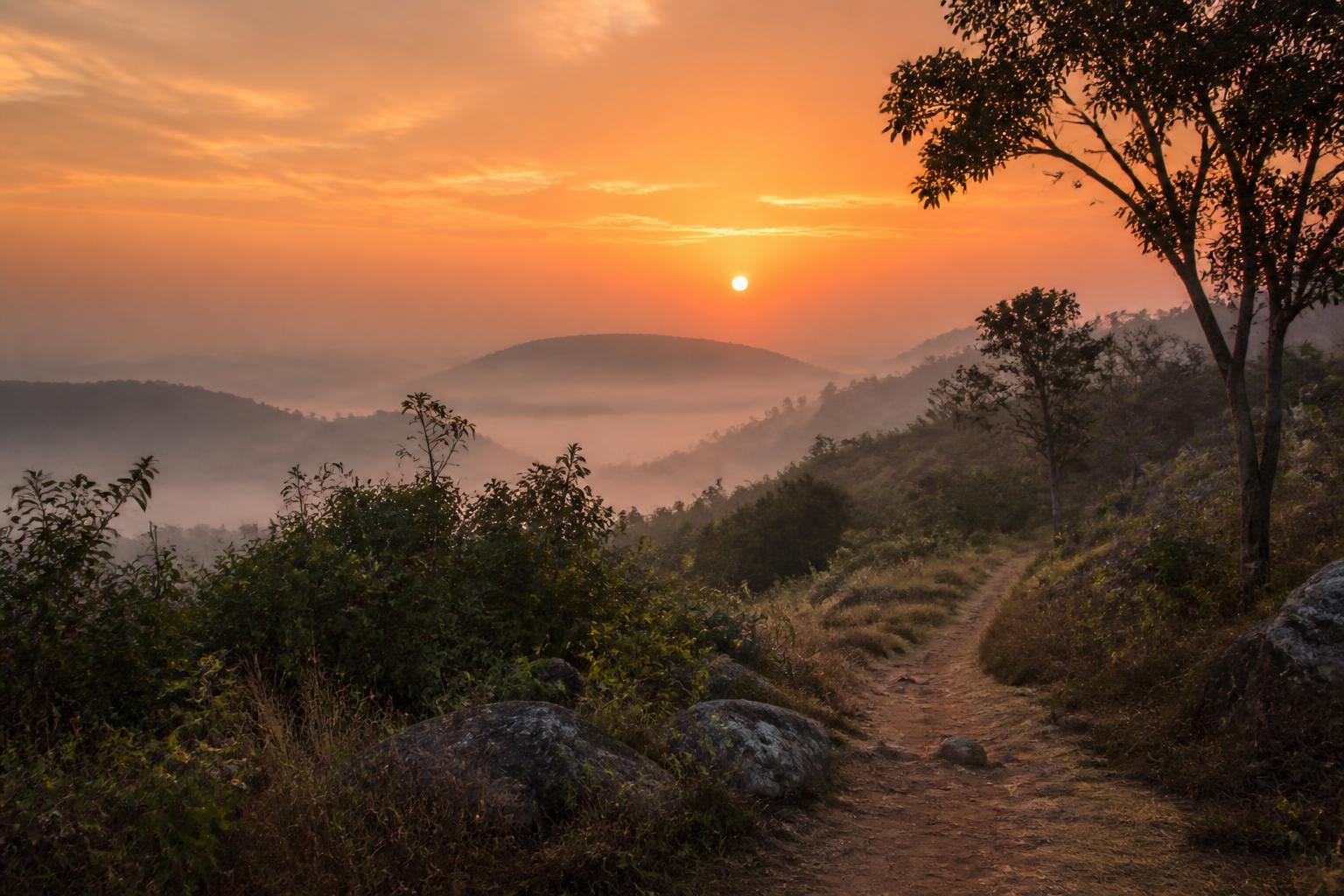 July Edition — Upcoming Journeys